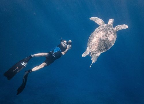 Abu Dabbab Turtle Beach